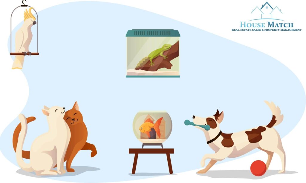 pets house match