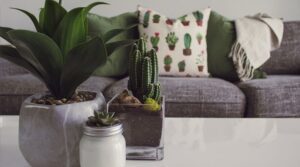 instead of painting the property, let them interior decorate